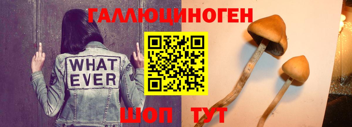 Галлюциногенные грибы Magic Shrooms  Вход с VPN  Армавир 